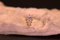Sultan - Junipurr Jewelry